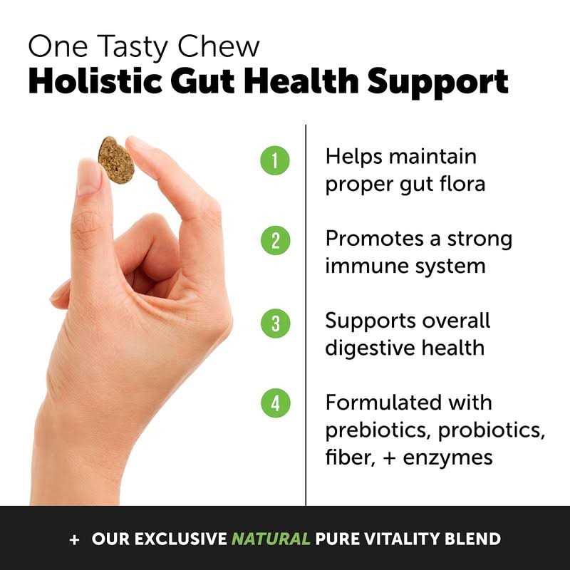 Probiotics for Dogs Digestive Enzymes W82086