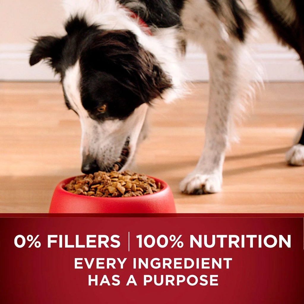 Turkey and Venison Recipe Dry Dog Food A3856
