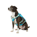 LED Dog Harness V728750
