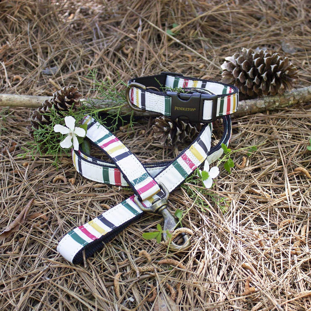 Dog Collar E1802