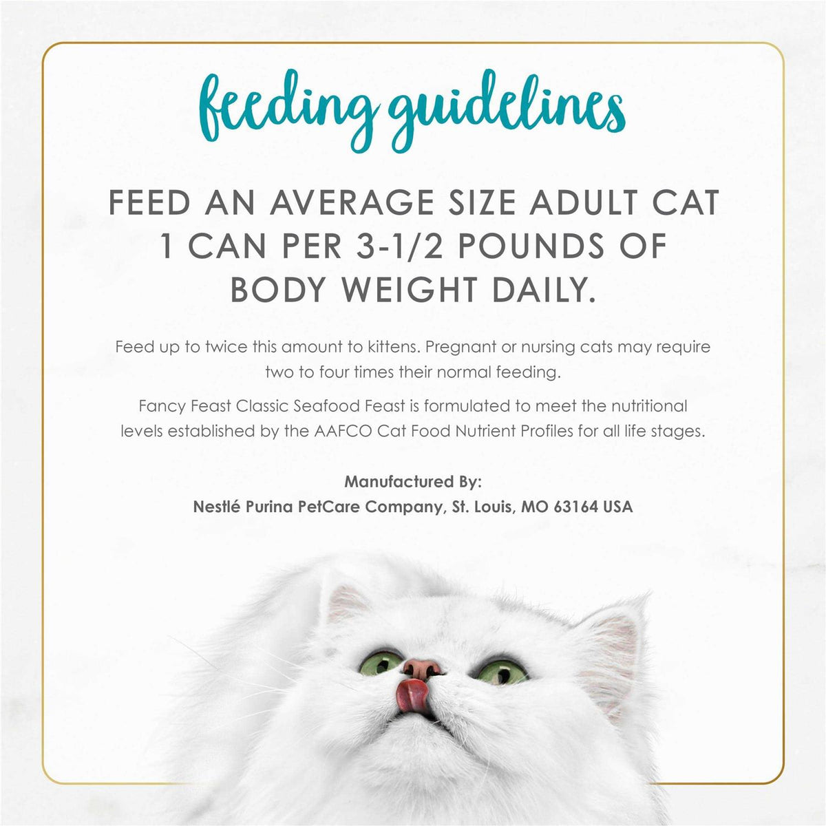 Seafood Canned Cat Food X818992