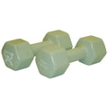 15 lb Silver Vinyl Dumbbell Pair M8645