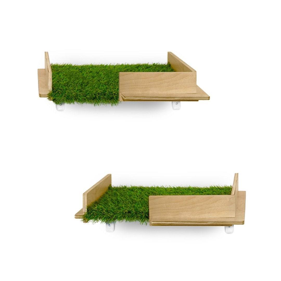 Cat Canopy Wall Shelves, 2 Count W642730