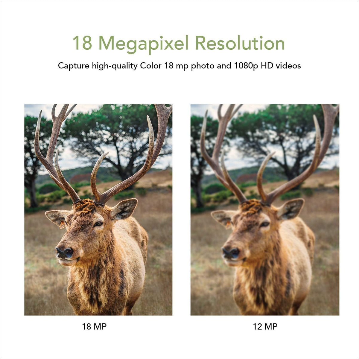 18MP 1080P Trail Camera with 2” LCD White LED Flash O5353