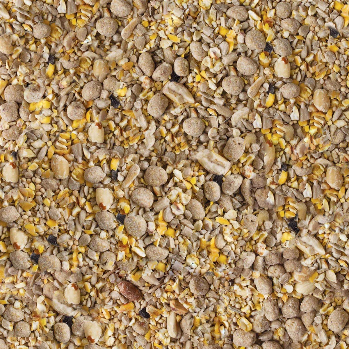 Seed & Suet Bird Food Z593255