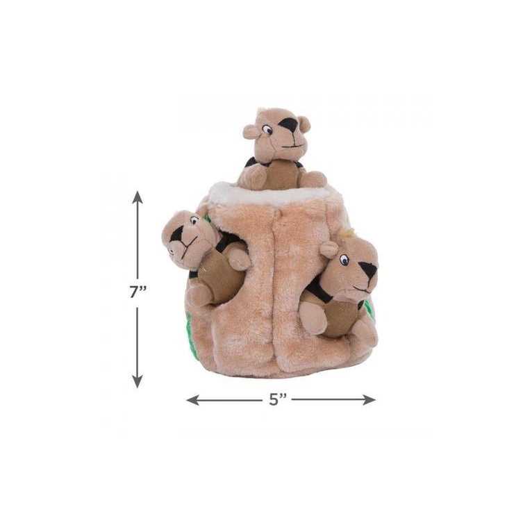 Hide A Squirrel Dog Toy E290975