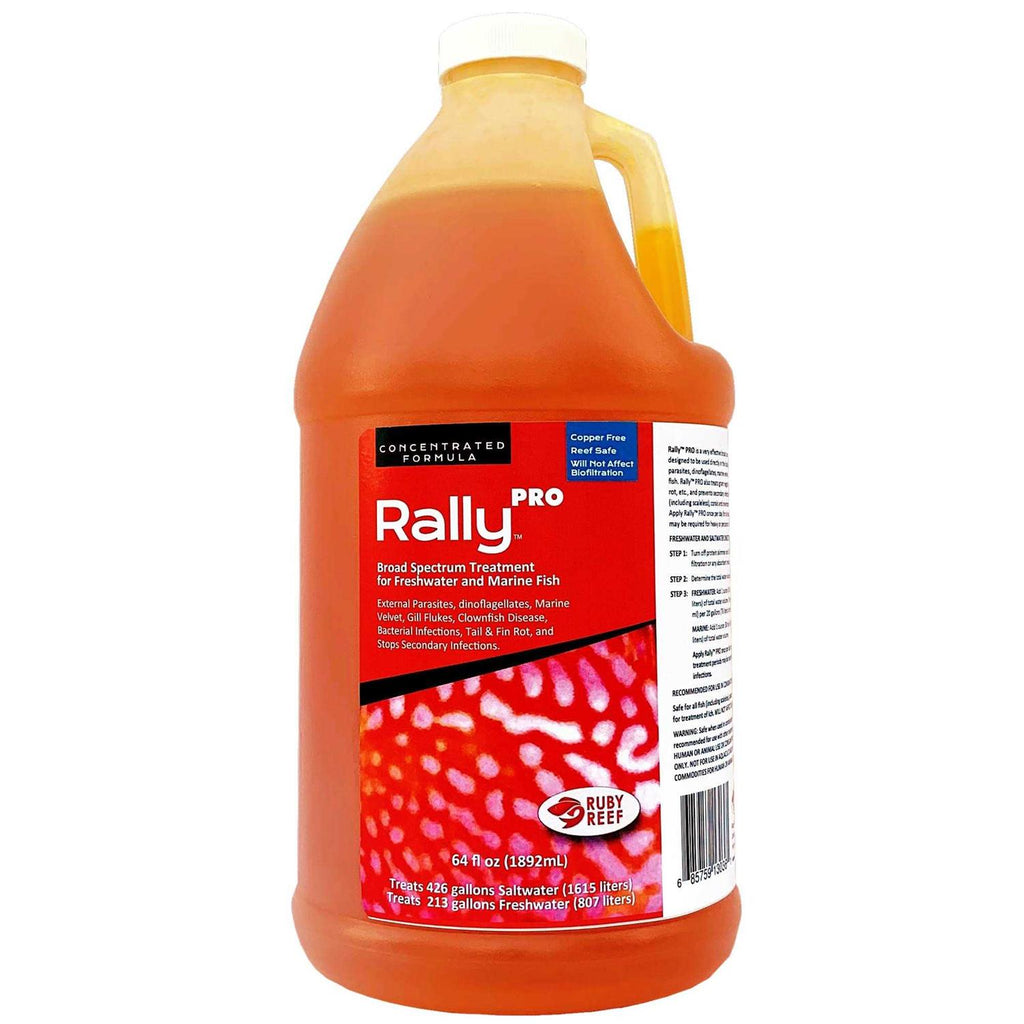 Ruby Reef Rally Pro K198