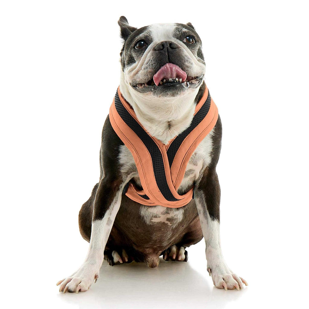 Dog Harness I88538
