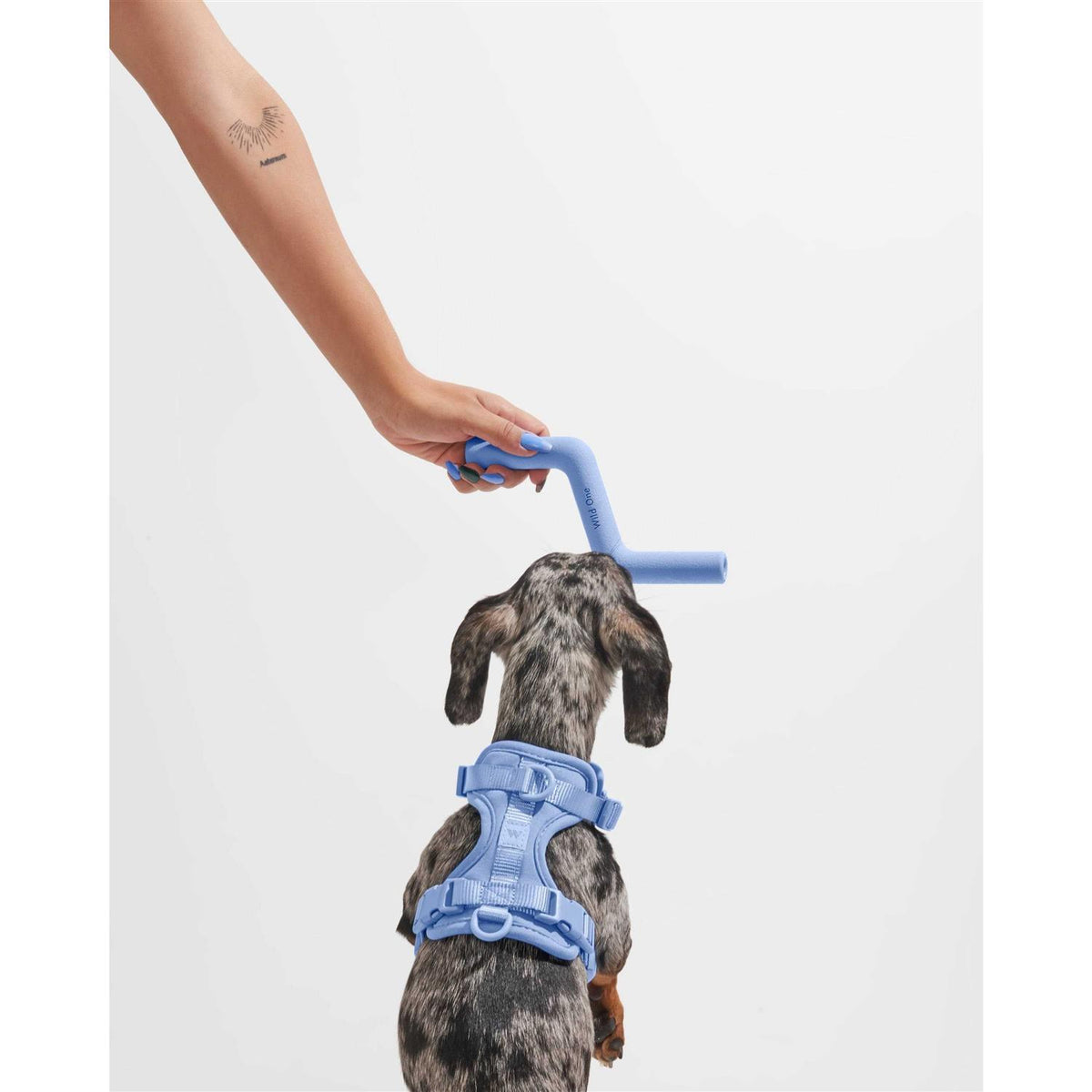 Bolt Bite Dog Toy C550
