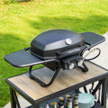 2 Burner 15,000 BTU Portable Propane Gas Grill U293146