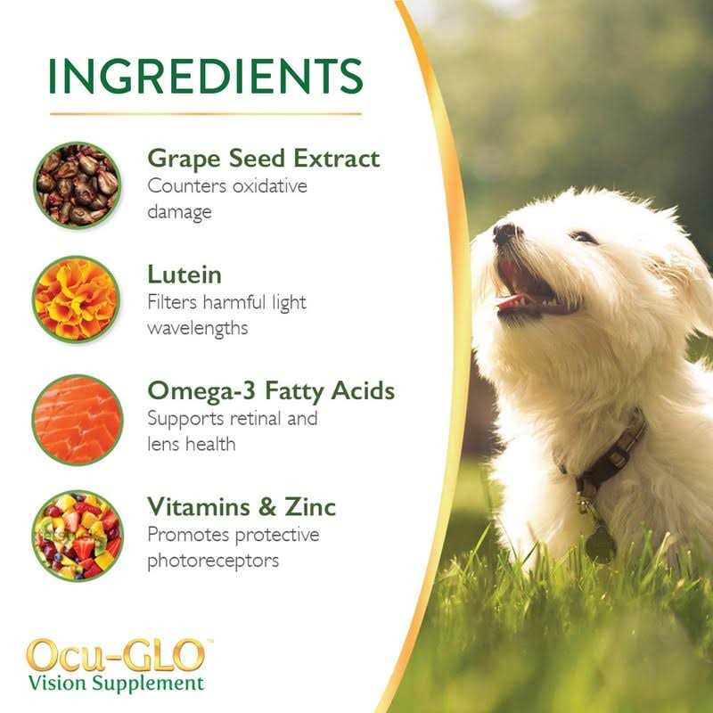 Vision Supplement for Small Dogs E87245