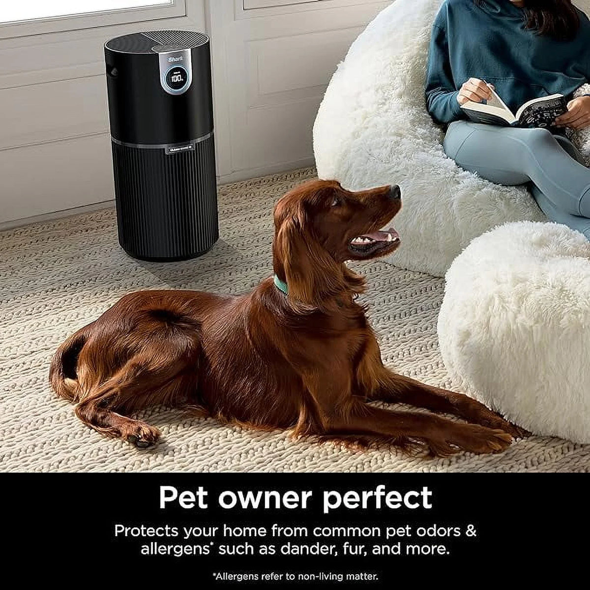 Black HEPA Air Purifier R281