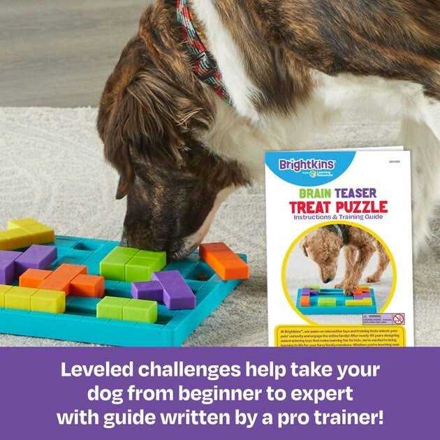Dog Treat Puzzle Q24583