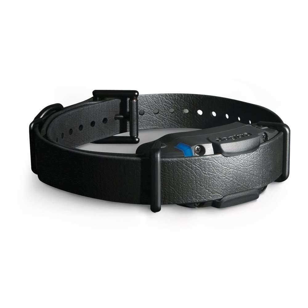 Black 1 Mile Remote Trainer X317162