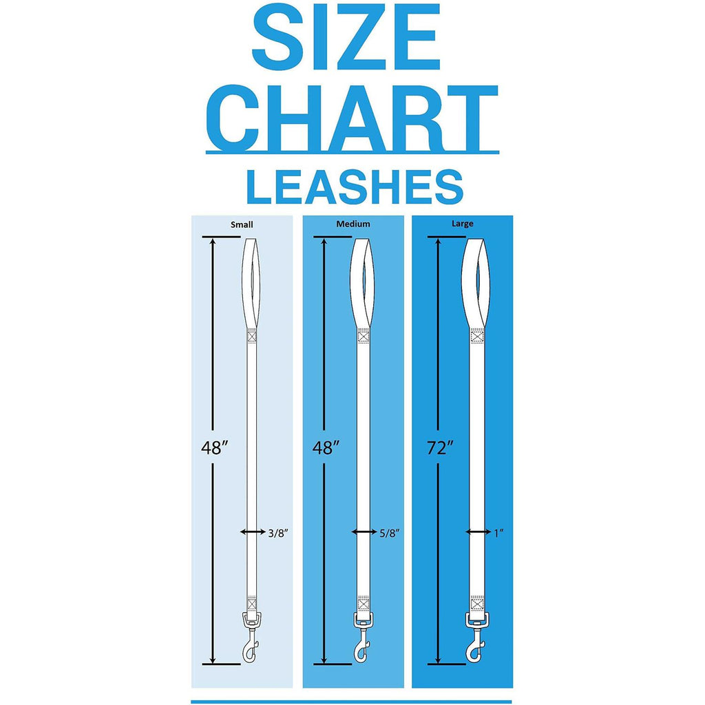 Pet Leash V11986