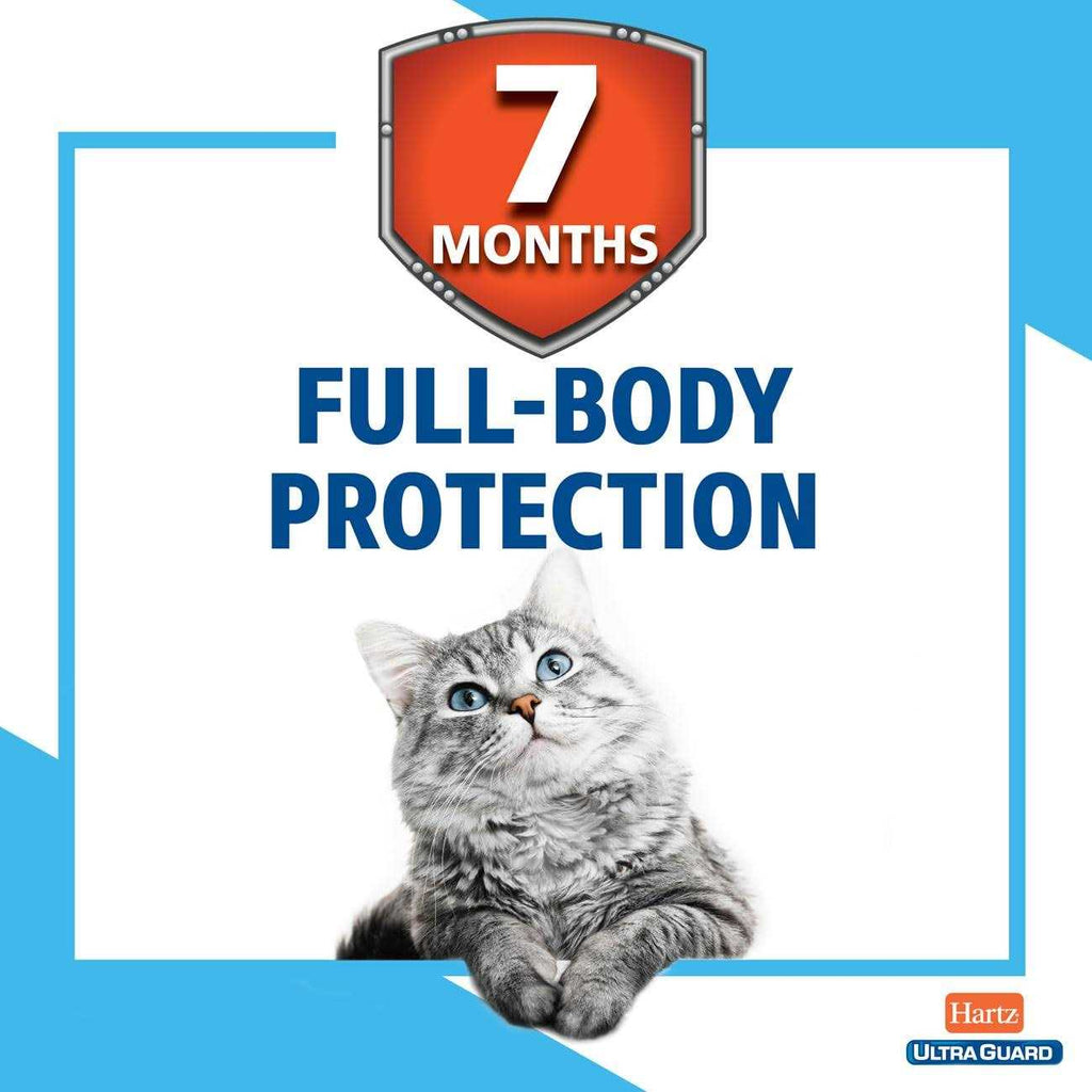Reflective Flea and Tick Collar for Cats and Kittens I874148