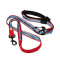 Dog Leash T209296