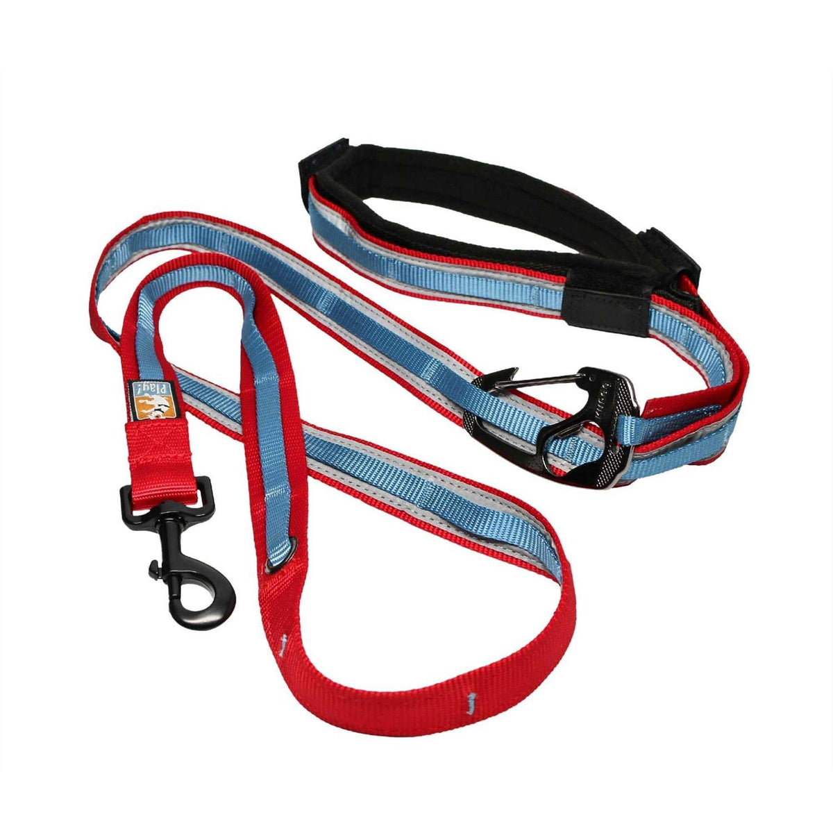 Dog Leash T209296