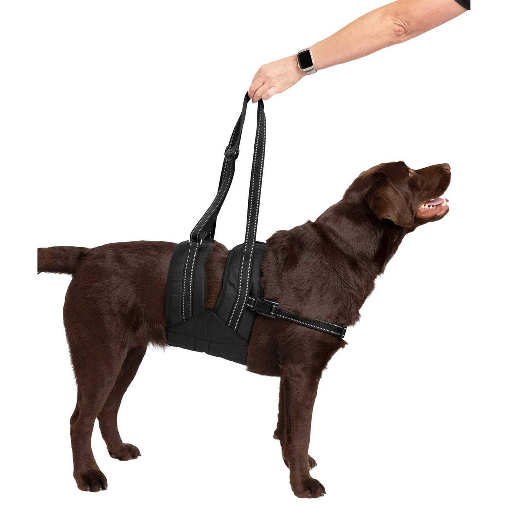 Veterinarian Approved Dog Sling Assist with Chest Strap M9846