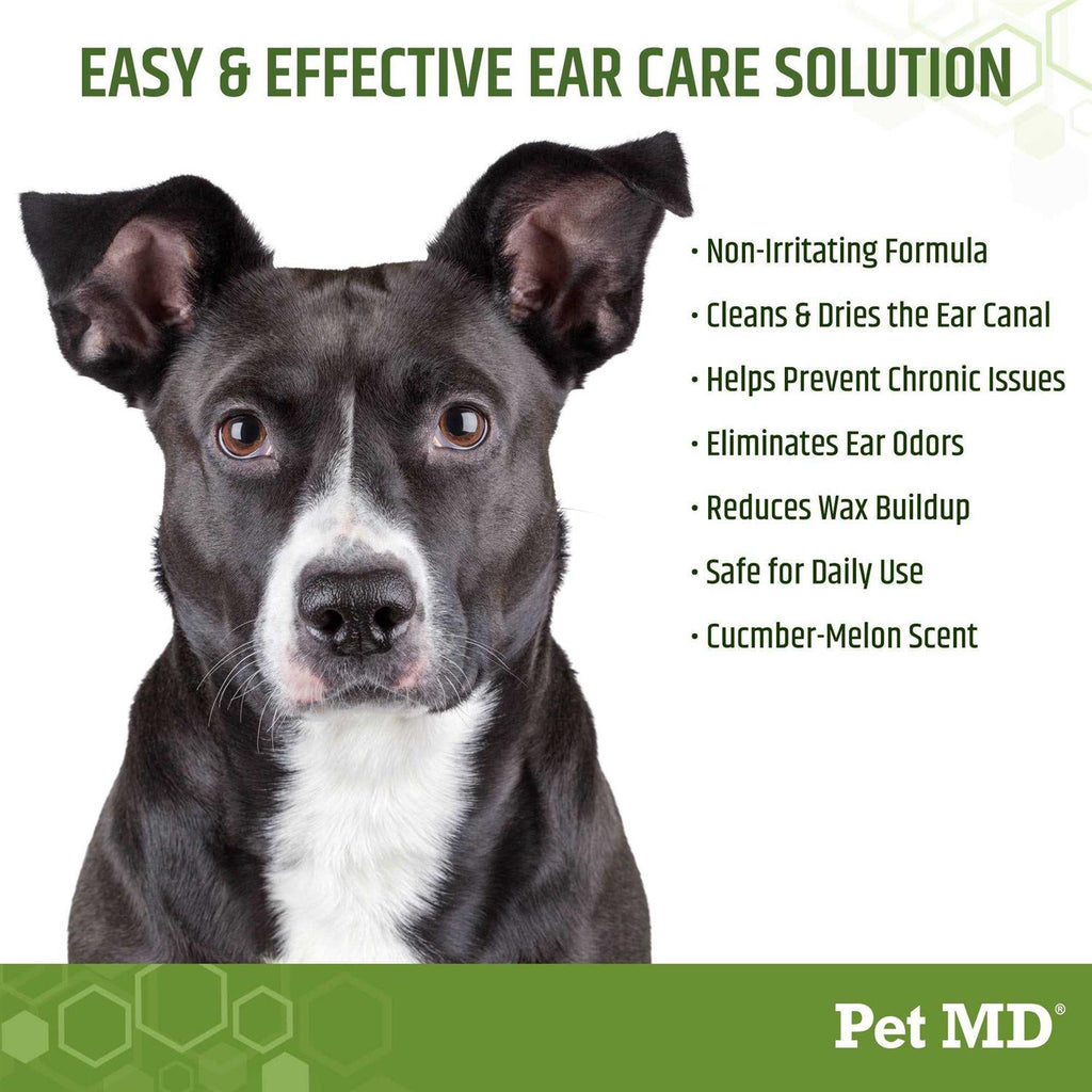 Aloe & Eucalyptus Dog Ear Wipes A26917