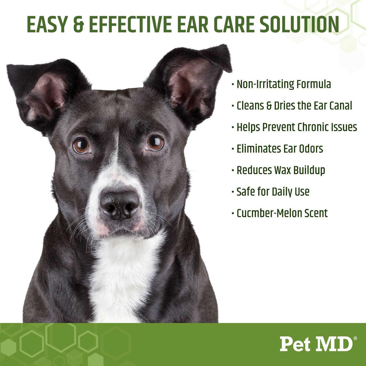 Aloe & Eucalyptus Dog Ear Wipes A26917