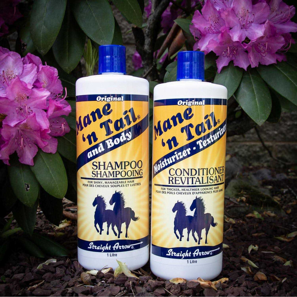 Original Shampoo T187842
