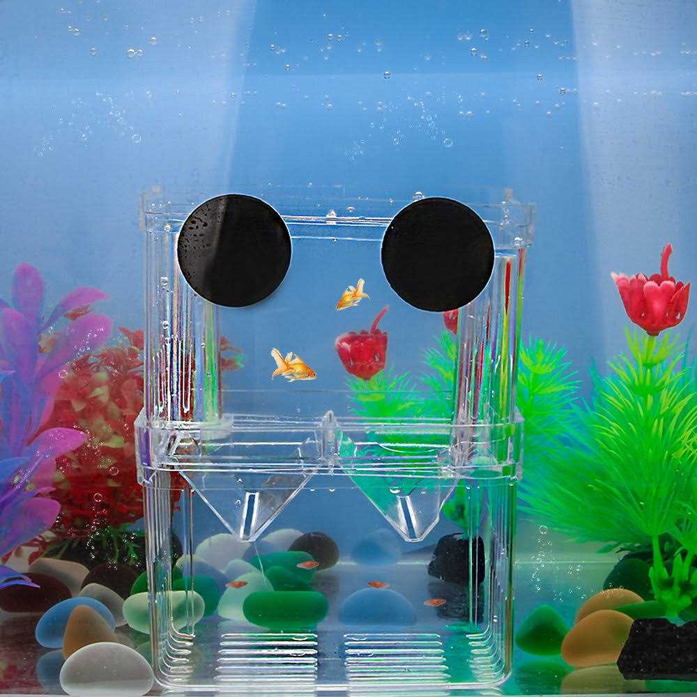 Aquarium Fish Breeder Box Plastic Isolation Hatching Incubator Box Z45354