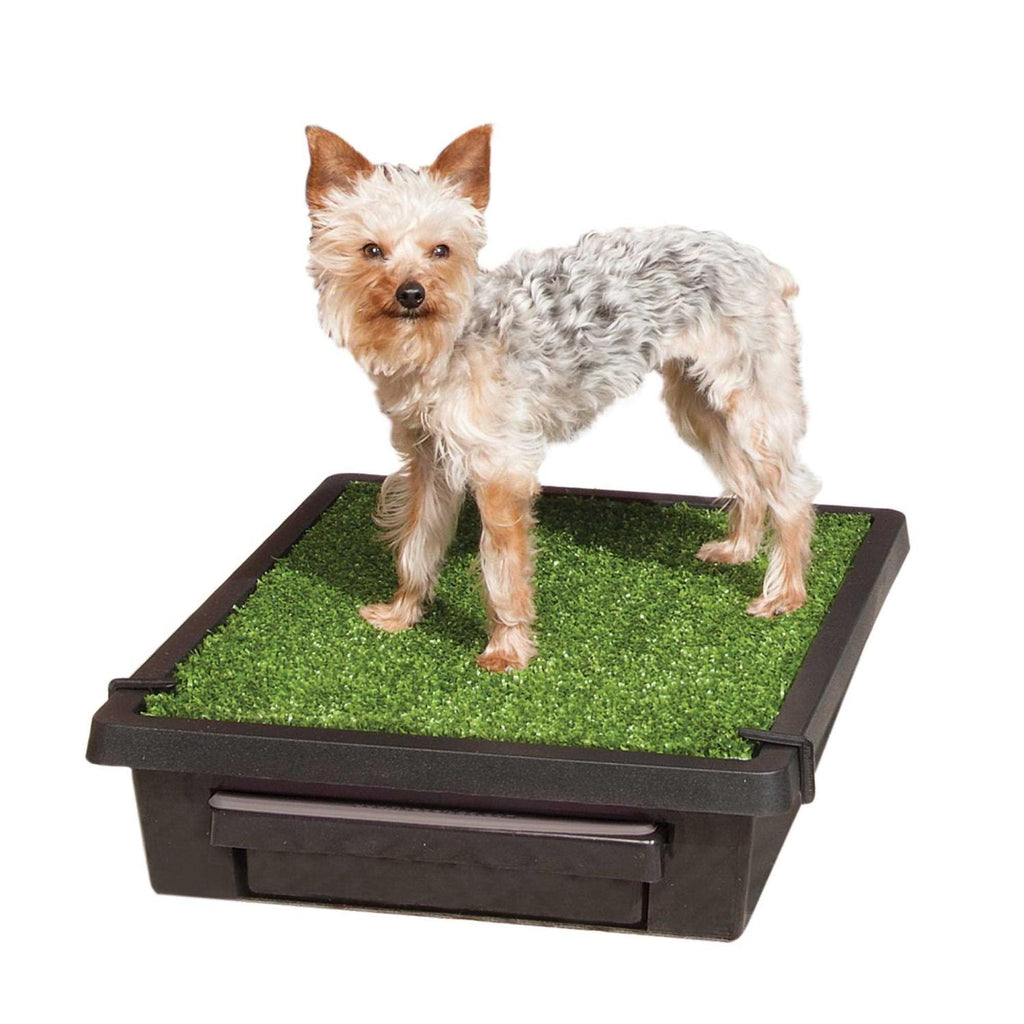 Pet Loo Y681