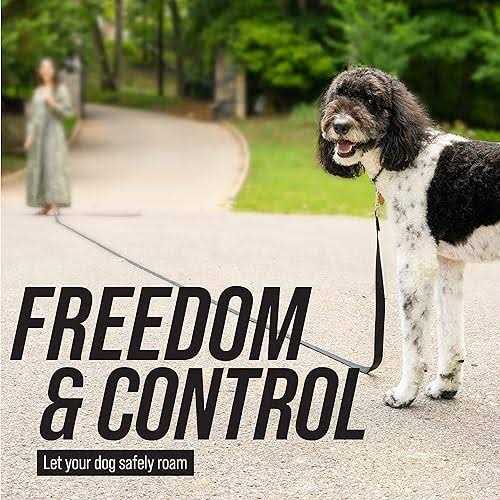 Dog Leash A947