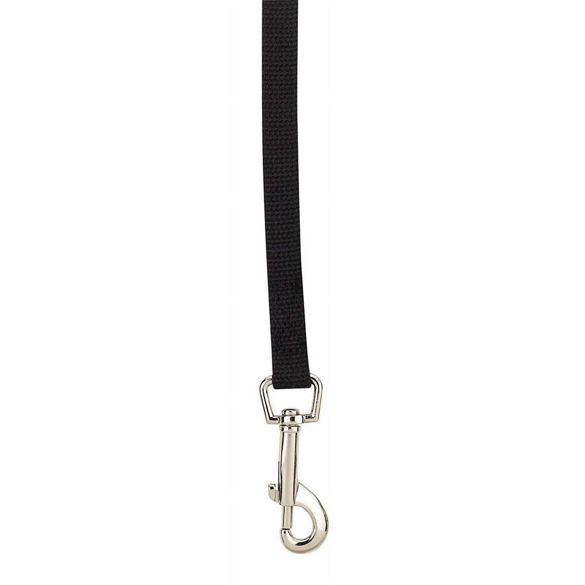 Cotton Web Training Lead V887912