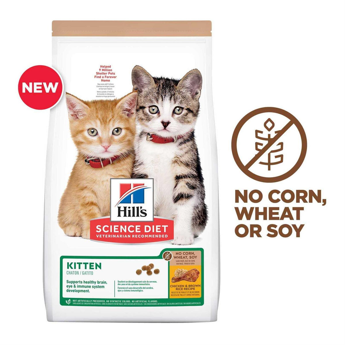 Kitten Dry Cat Food T448808