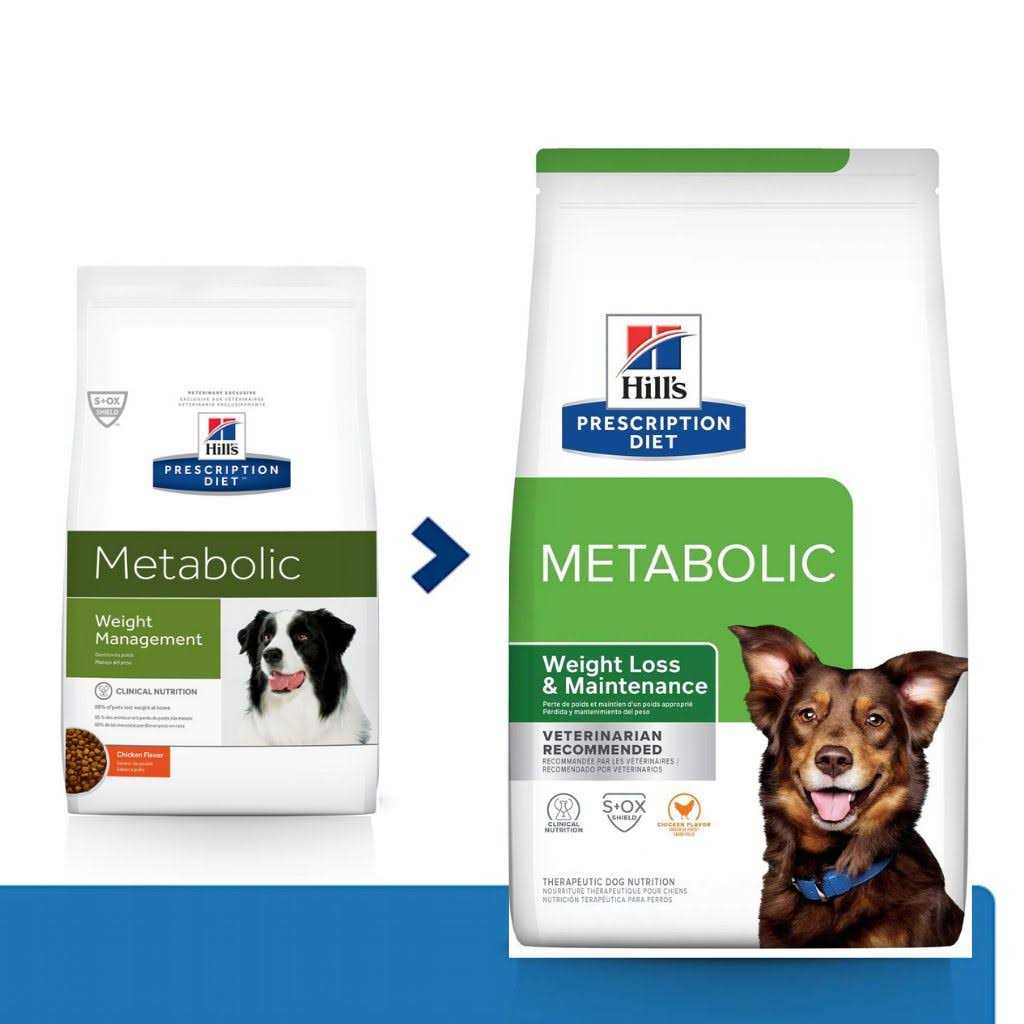 Canine Metabolic O36012