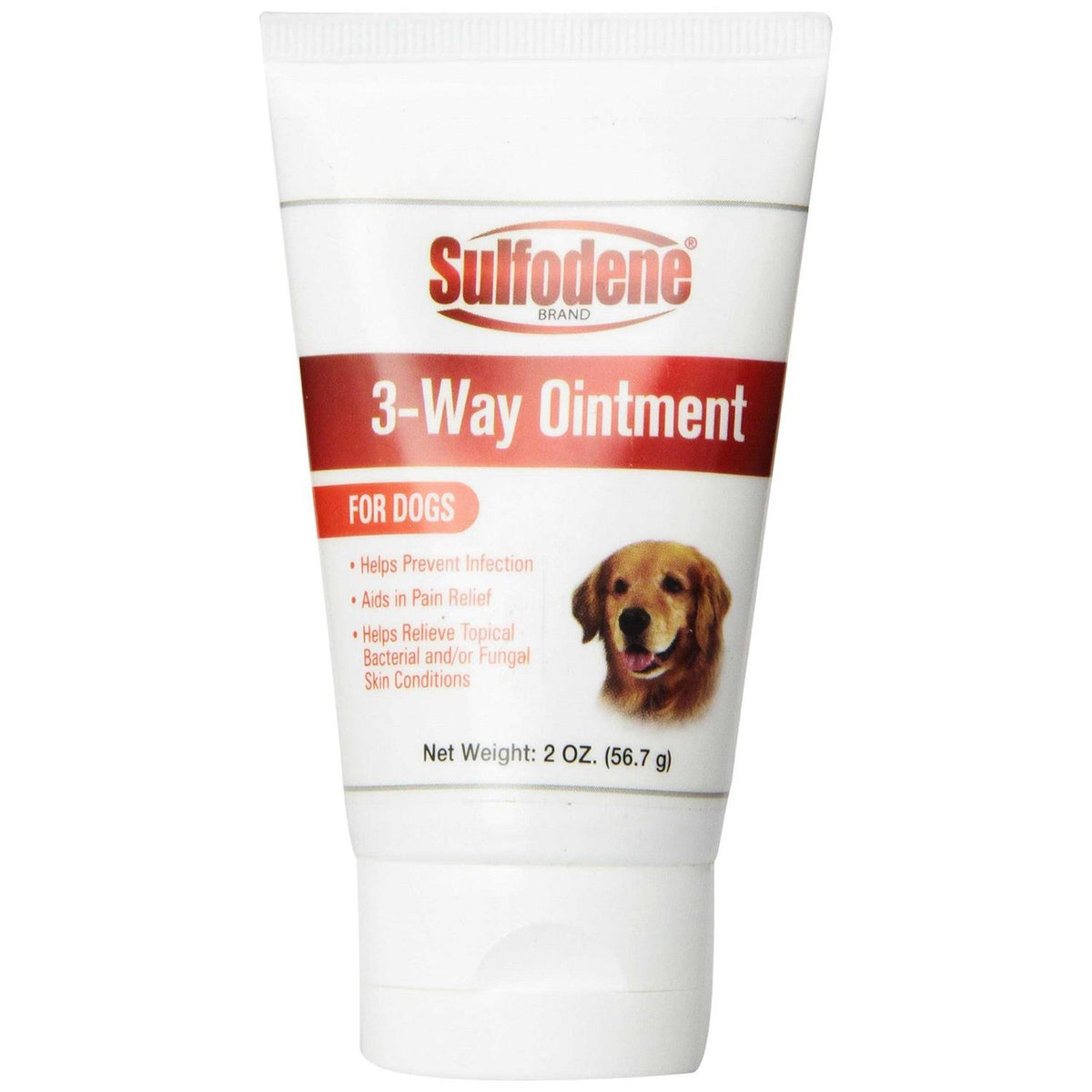 Dog Ointment P93101