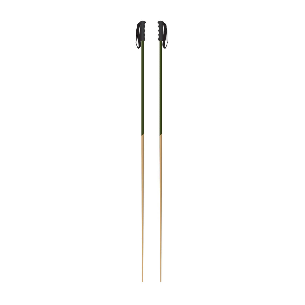 Green Ski Pole Y85131