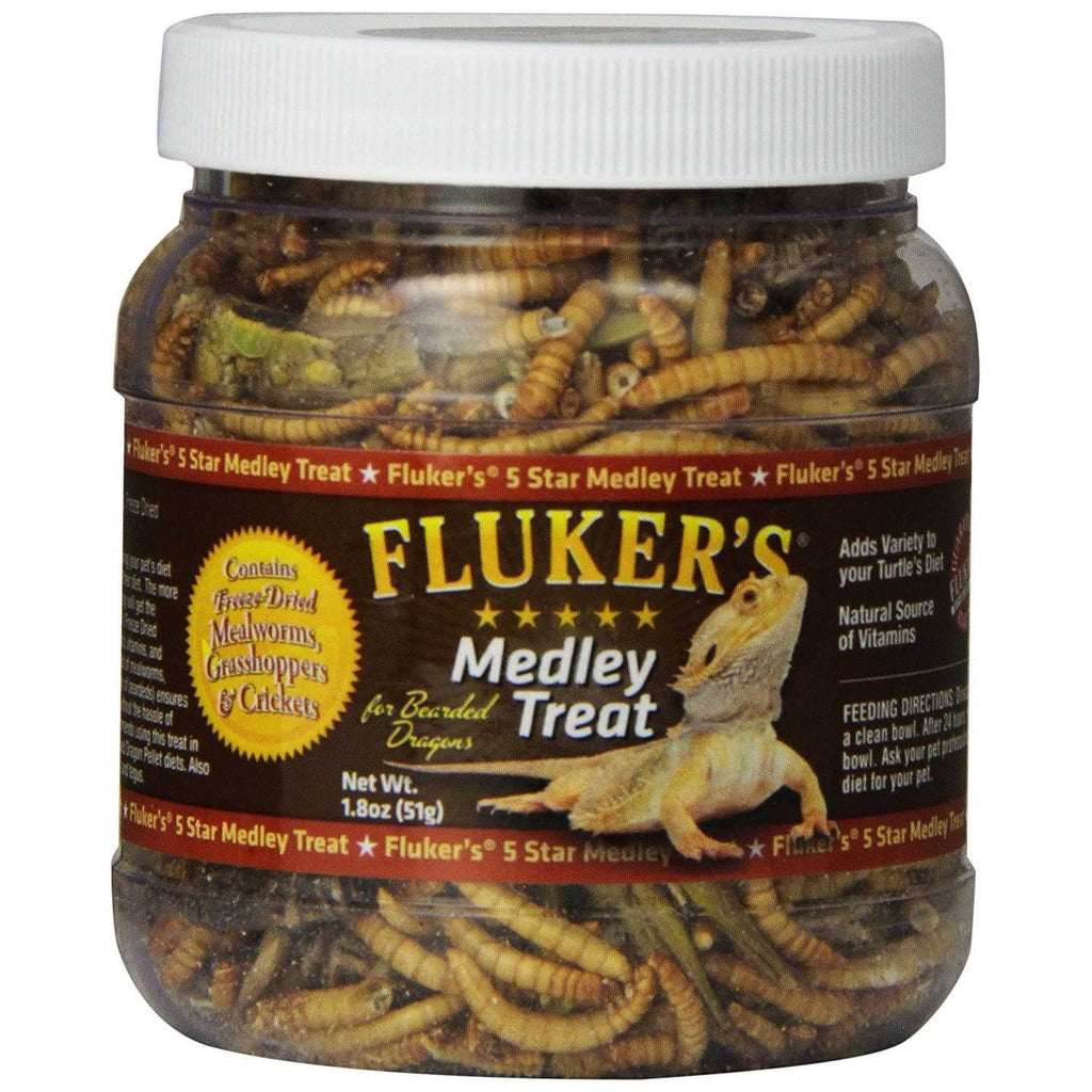 Bearded Dragon Medley Treat K373011