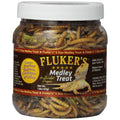 Bearded Dragon Medley Treat K373011