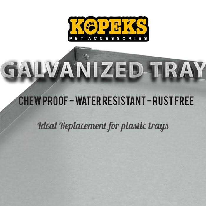 Galvanized Metal Tray P229