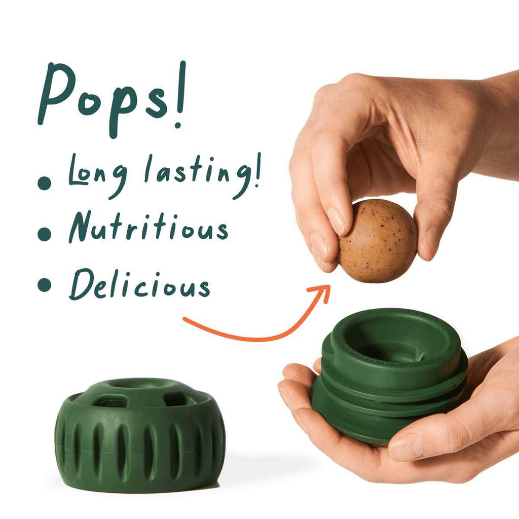 Beef Pops G509
