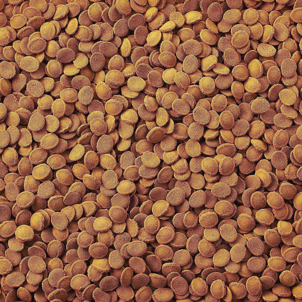 Fish Food N3234