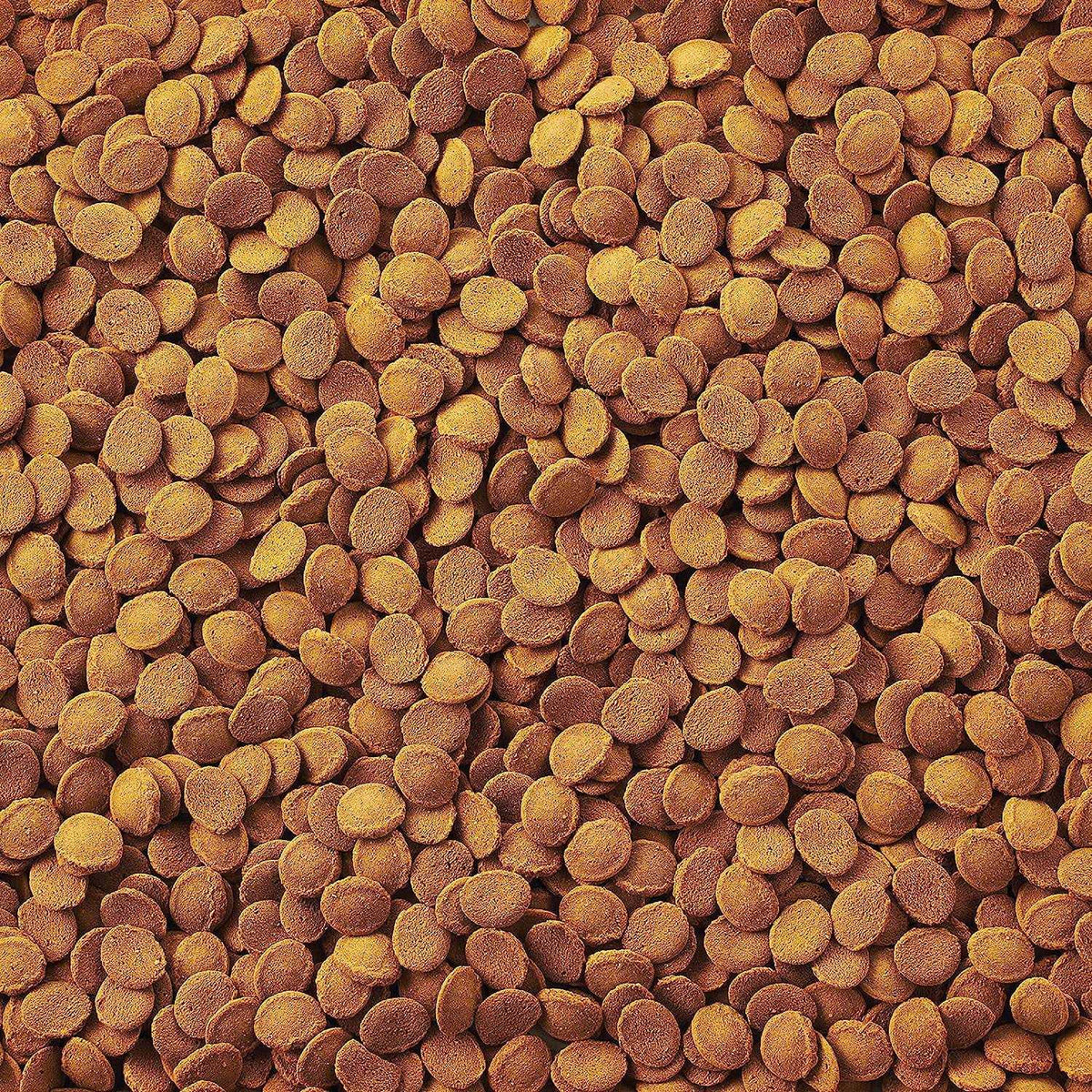 Fish Food N3234