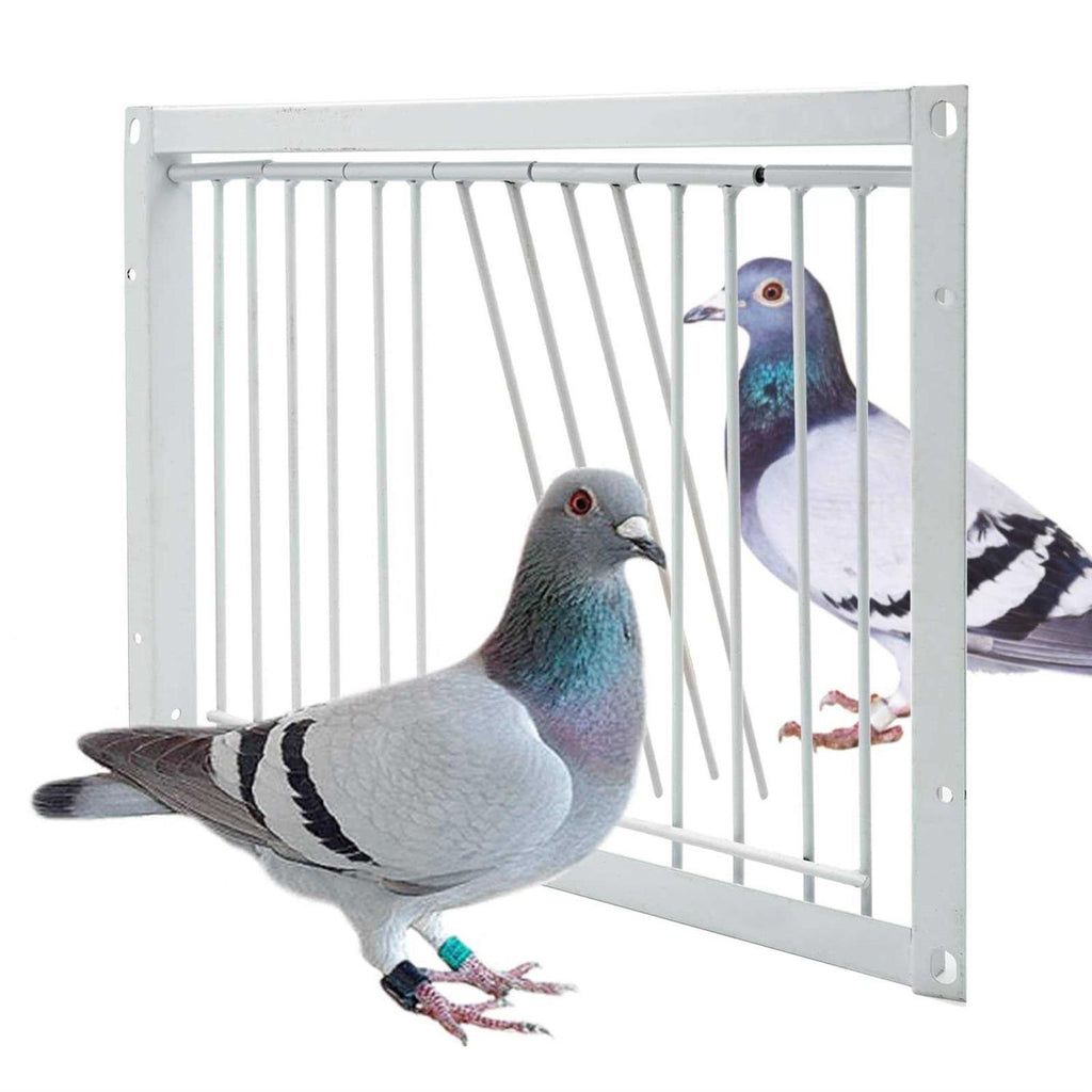 30cm Pigeon Cage One Way Entrance Door W453612