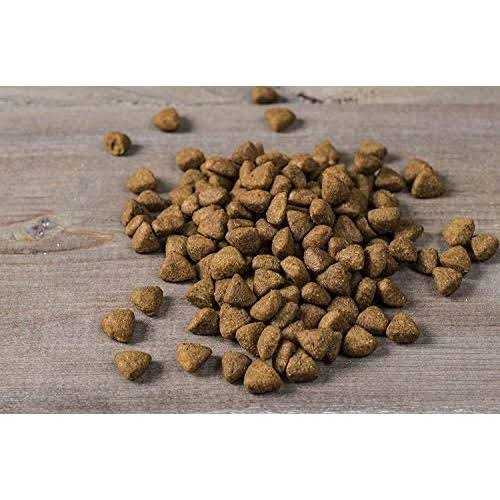 Chicken Oats & Turkey Dry Puppy Food M186