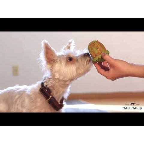 Dog Toy Natural Rubber Pinecone Q293