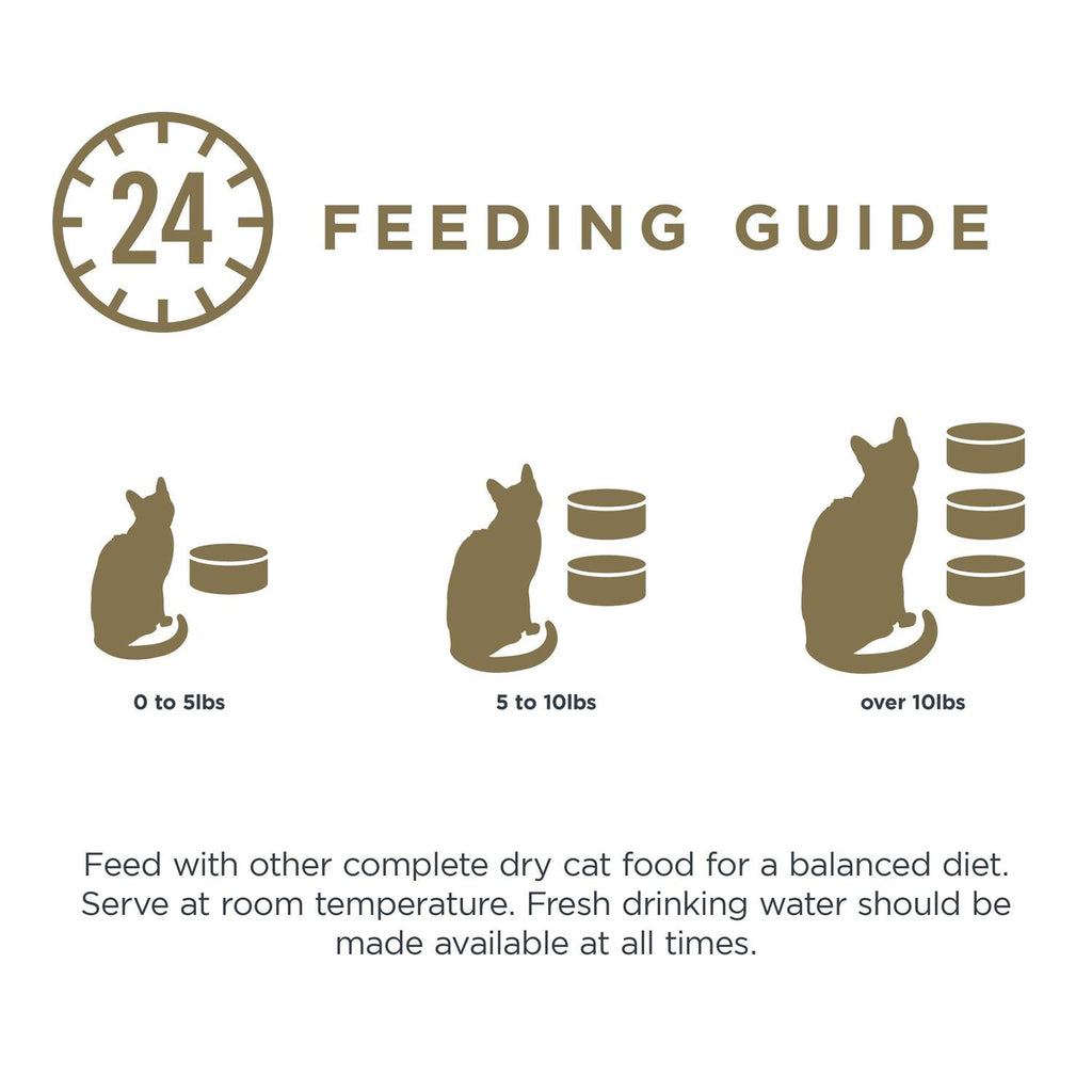 Natural Wet Cat Food Fish Variety Pack in Broth V12757