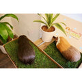 Pet Supplies F89018