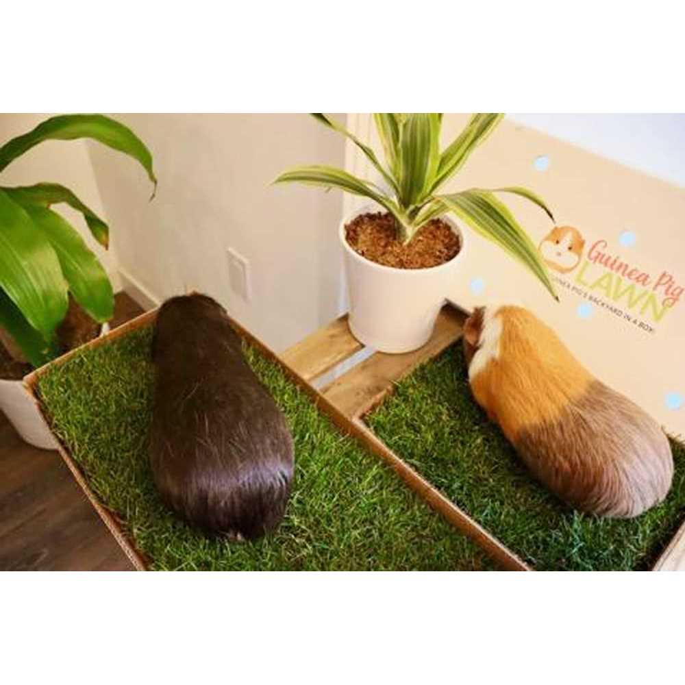 Pet Supplies F89018