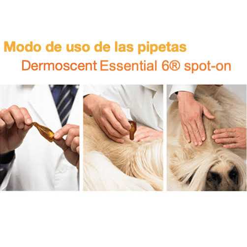 Essential 6 Spot-On Dogs P2945
