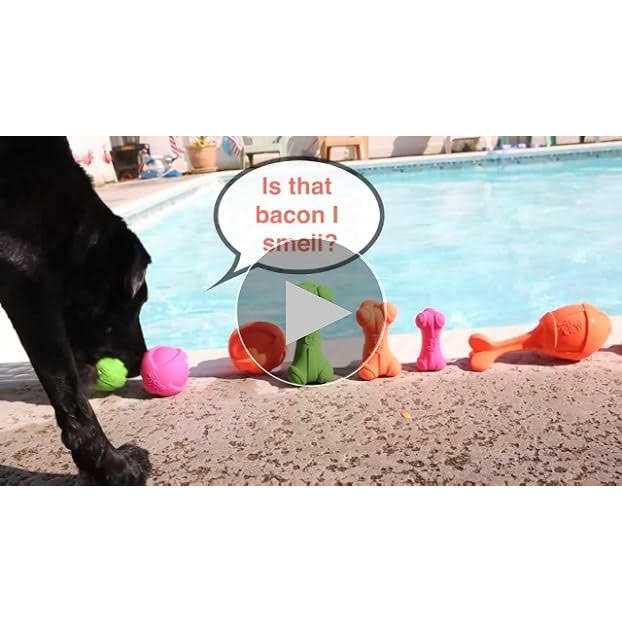 Dura Play Ball Dog Toy N286