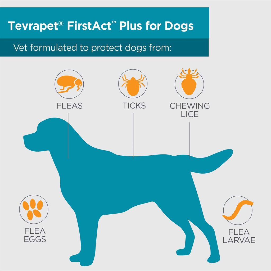 Flea and Tick Prevention Dogs O3558