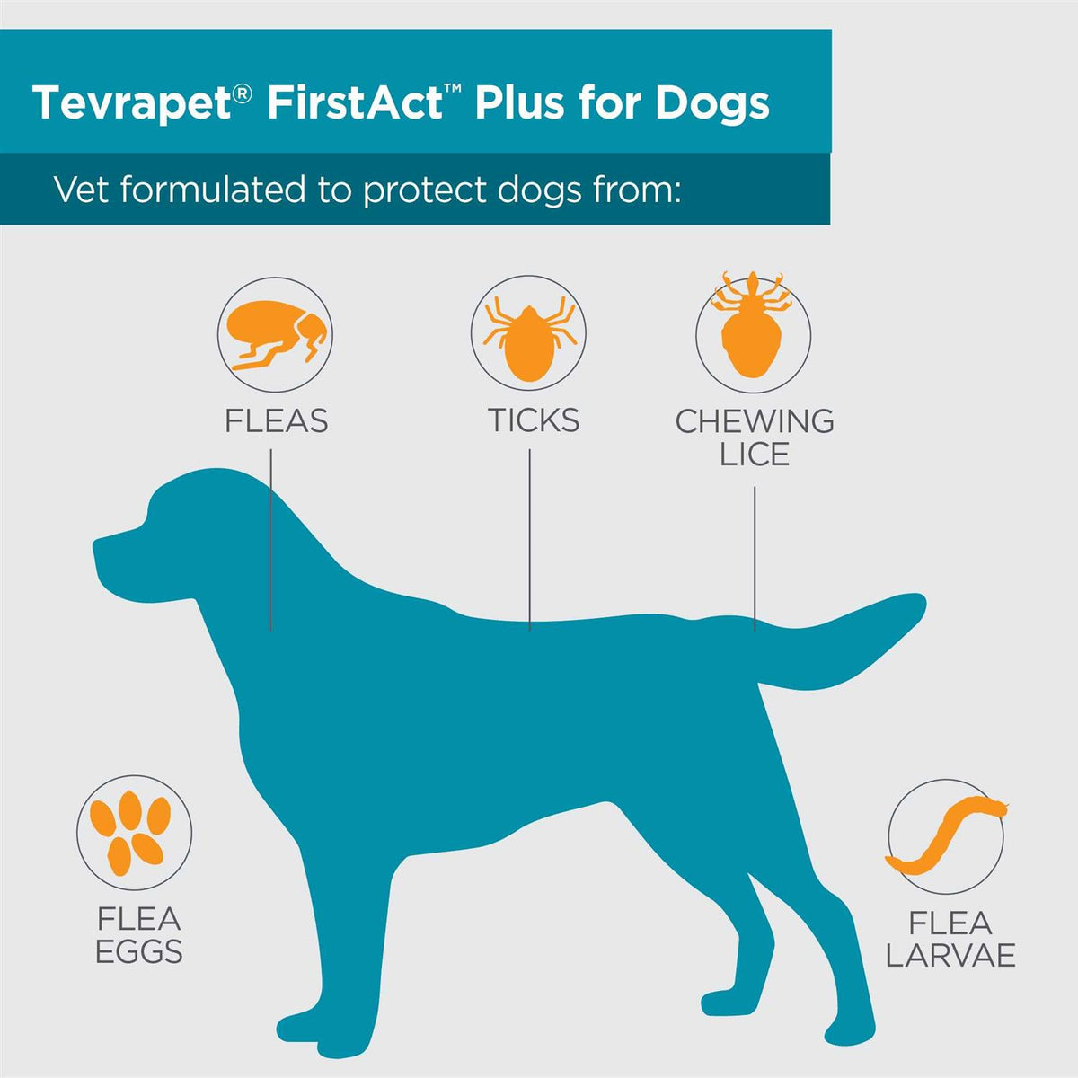 Flea and Tick Prevention Dogs O3558